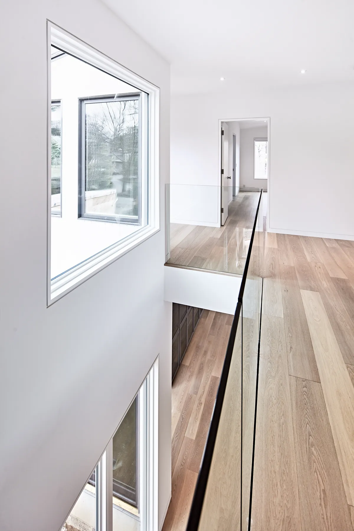 Betula-3