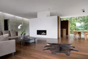 Architecte suisse